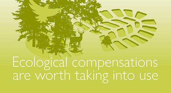 SYKE Policy Brief: Ecological compensation needs to be used to secure biodiversity